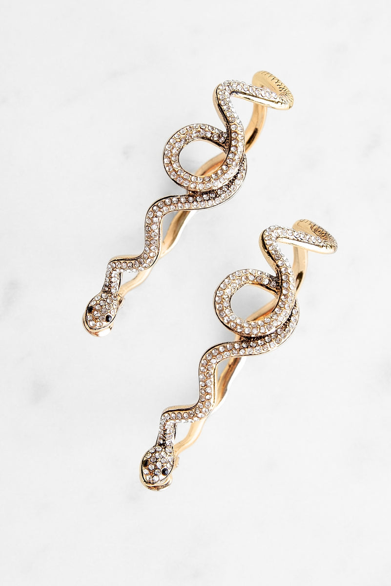 Serpentine Rhinestone Hoop Earrings